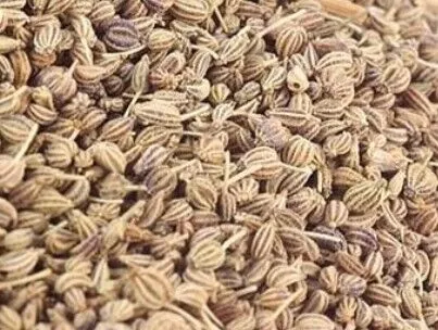 Ajwain-Carrom-Seeds