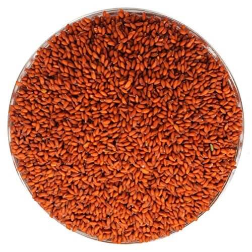 Asaliyo Seeds