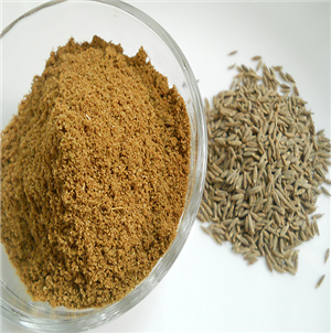 Cumin Powder