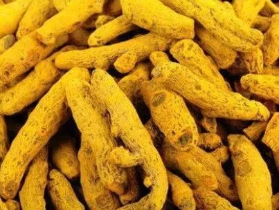 Turmeric Finger